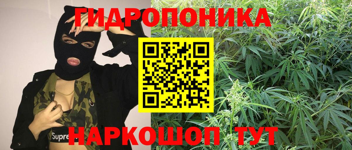 Бошки Шишки OG Kush Будённовск